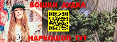 бошки Бердск