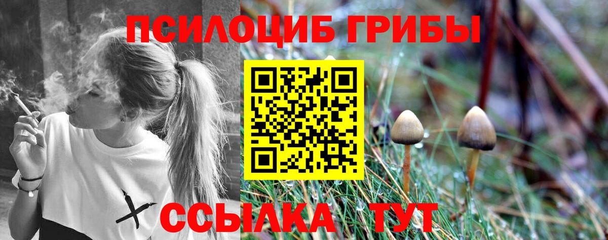 Псилоцибиновые грибы Cubensis Реутов